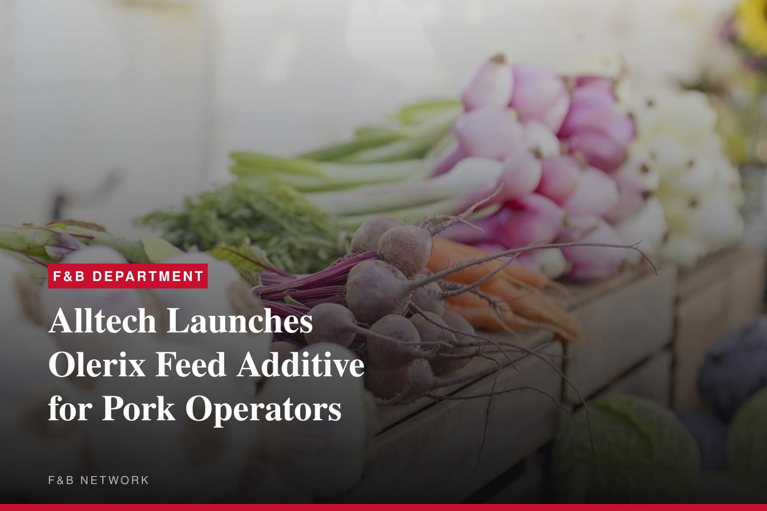 Alltech introduces Olerix, a new solution designed to deliver efficient growth and feed performance in modern pork production