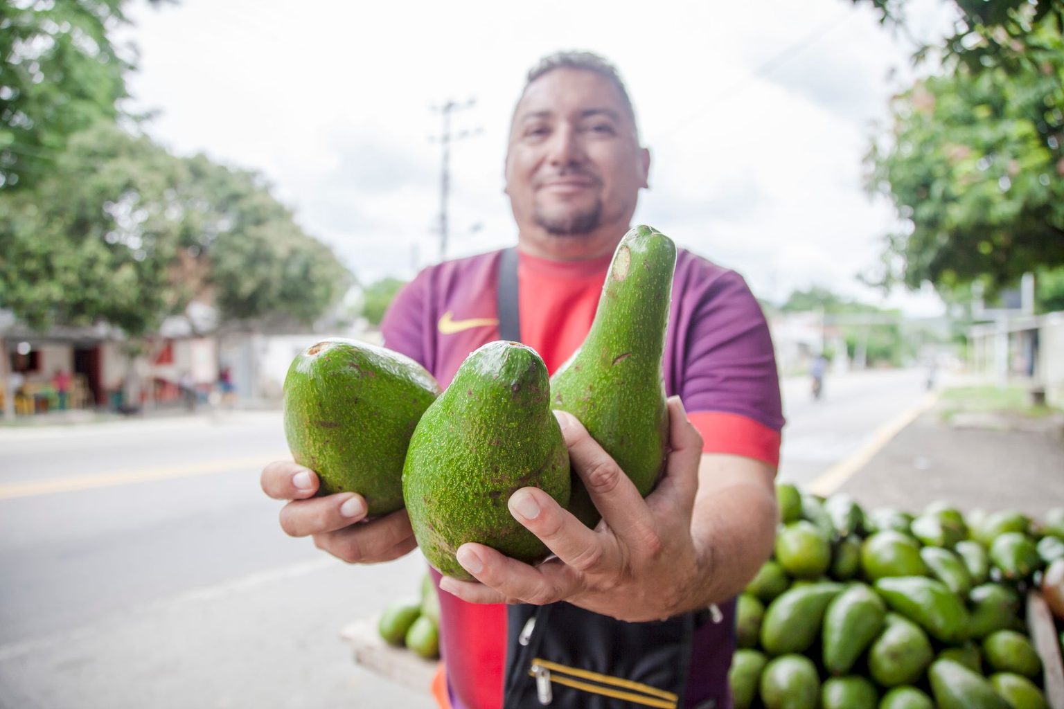 U.S. Navy Invites Avocados From Peru to Participate in America's Historic 250th Anniversary Maritime Celebration