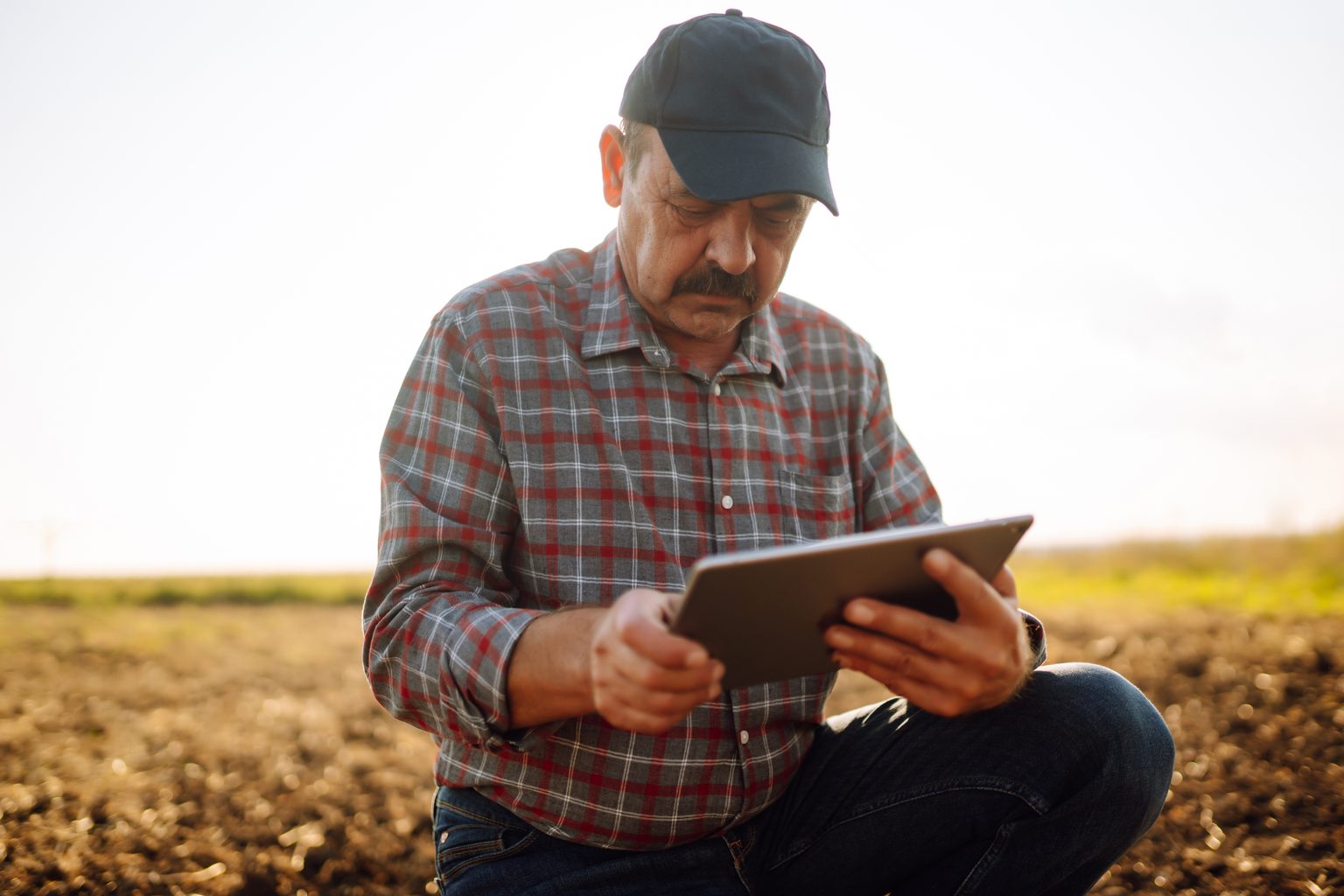 McCain Foods Launches Grower Pilot Program to Improve Field Visibility and Decision-Making supported by Ceres AI