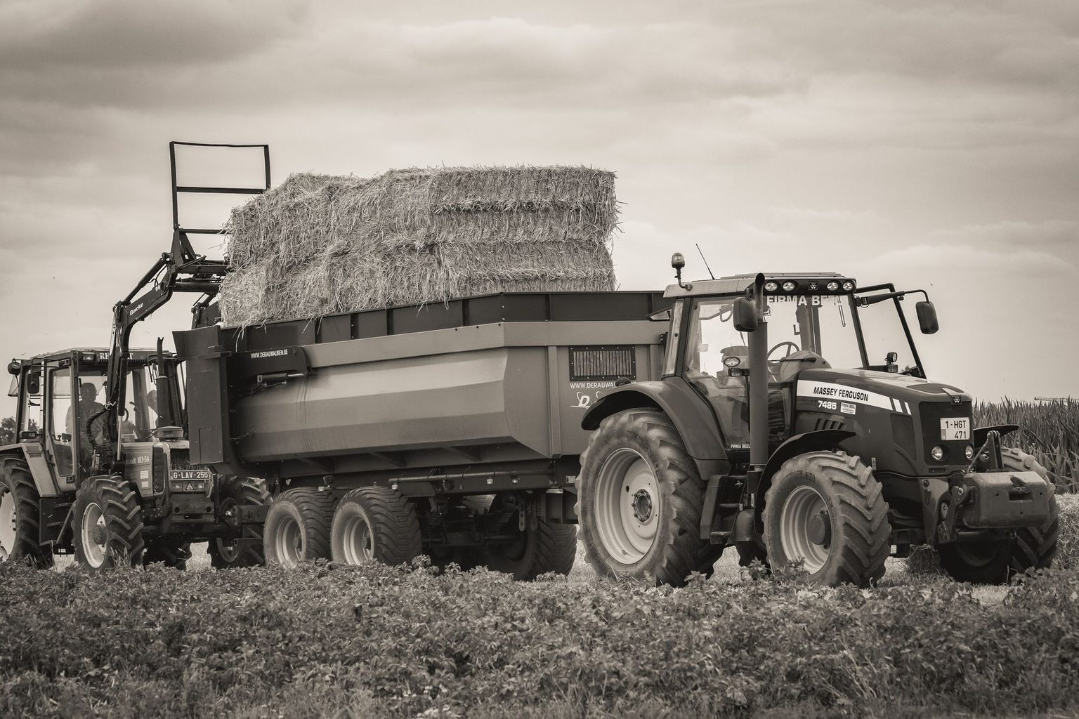 Instacart and Tractor Supply Partner to Deliver Pet Supplies, Farm Essentials, and Everything in Between for Life Outside